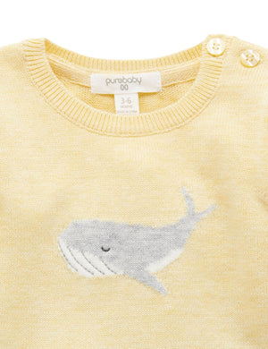 Purebaby Knit Organic Cotton Pullover