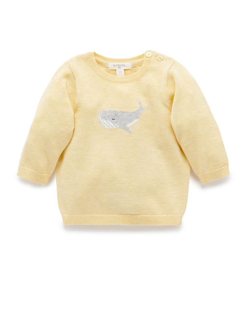 Purebaby Knit Organic Cotton Pullover